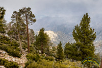 San Jacinto 5-17-15 - _25A3167