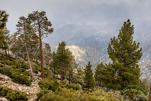 San Jacinto 5-17-15 - _25A3167