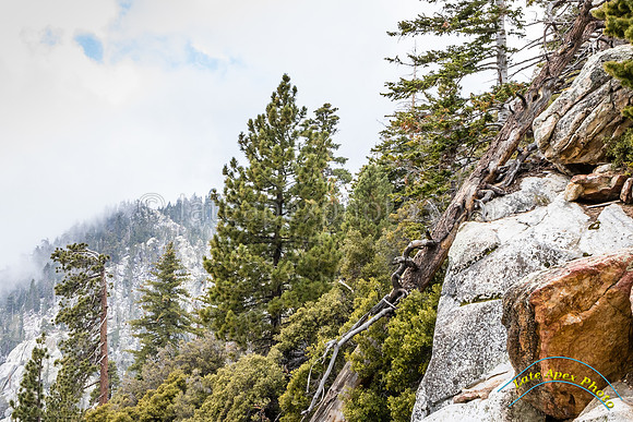 San Jacinto 5-17-15 - _25A3170