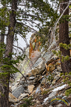 San Jacinto 5-17-15 - _25A3193
