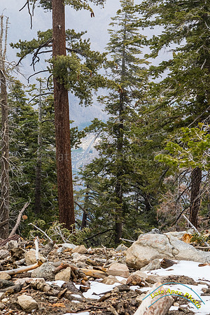 San Jacinto 5-17-15 - _25A3195