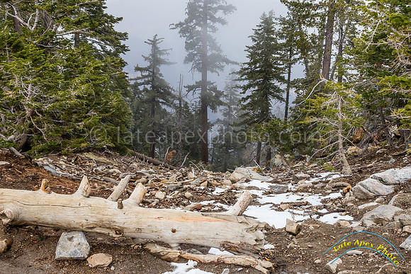 San Jacinto 5-17-15 - _25A3198