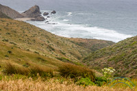 Point Reyes 5-24-15 - _25A3396