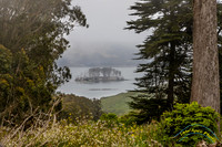 Point Reyes 5-24-15 - _25A3410
