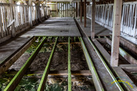 Point Reyes 5-24-15 - _25A3445