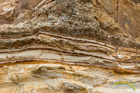 Point Reyes 5-24-15 - _25A3496