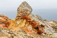 Point Reyes 5-24-15 - _25A3502