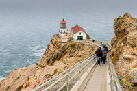 Point Reyes 5-24-15 - _25A3504