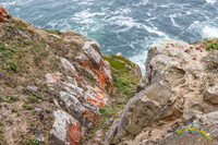 Point Reyes 5-24-15 - _25A3513