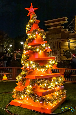 20251203-_O3A6897-Edit
