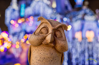 20251203-_O3A6927-Edit