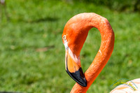 20150722 - 3729