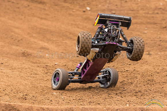 RC Cars - 8818
