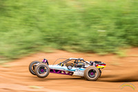 RC Cars - 8578