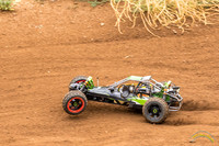 RC Cars - 8542
