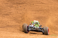RC Cars - 8679