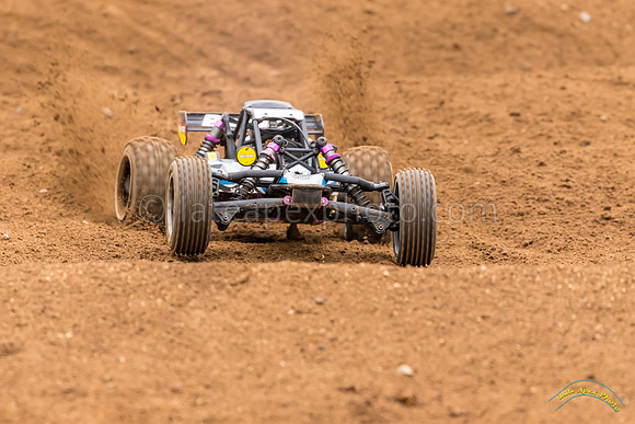 RC Cars - 8639