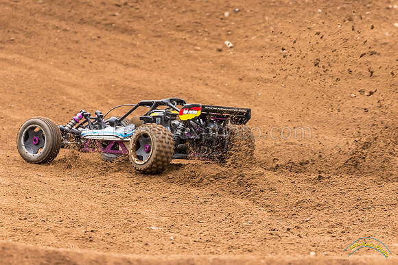 RC Cars - 8821