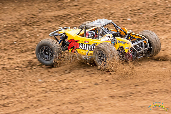 RC Cars - 8908