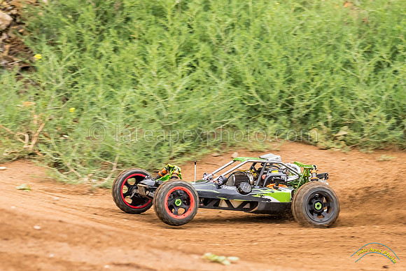 RC Cars - 8544