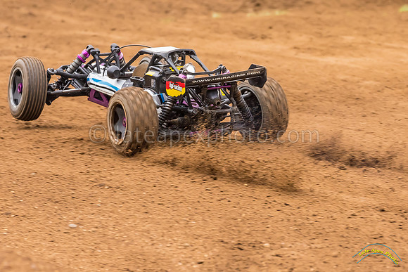 RC Cars - 8841