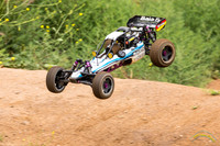 RC Cars - 8646