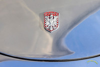 Runge RS010