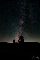20220704 - 4993