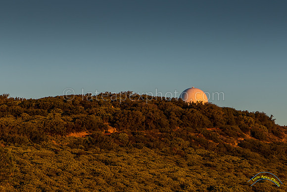 20161021 - 9754