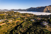 Blossom Valley