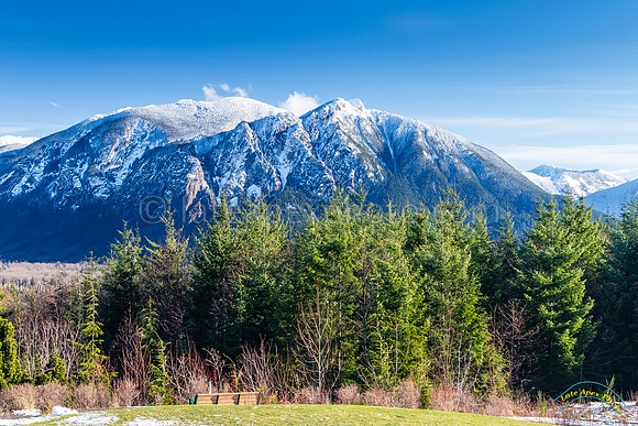 2016 Washington Trip - 1411