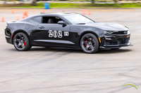 20240602-IMG_6981