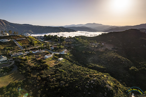 Blossom Valley