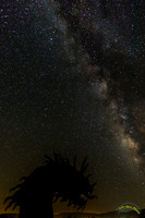 20160806 - 8838