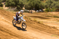 20250608-_O3A9612-Edit