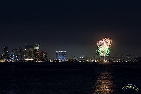 20160720 - 8660