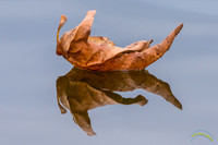 20161221 - 6951