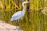 20161221 - 7336