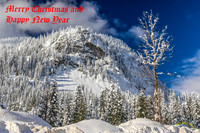 Merry Christmas 2016