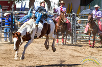 Poway Rodeo 2013 - 5052