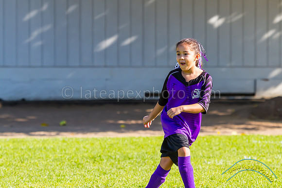 Purple Pixies - 5684