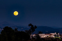 20250610-_O3A1020-Edit