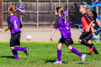 Purple Pixies - 5808