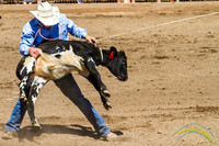 Poway Rodeo 2013 - 5170