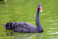 20250506-_O3A8877-Edit-2