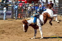 Poway Rodeo 2013 - 5061
