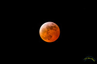 20250313-Totality