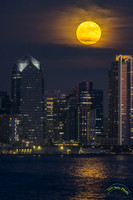 20230830-0O3A8647-Edit-3