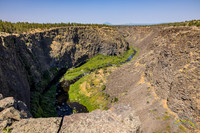 P.S. Ogden State Park, OR