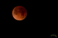20180131 - 9126